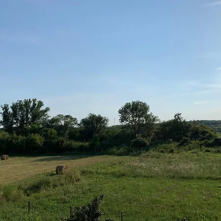 アパート Feher Orchidea エゲルサローク