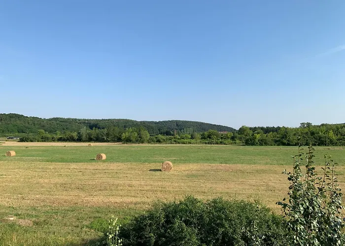 Feher Orchidea דירה